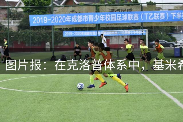 图片报：在克洛普体系中，基米希预计将重回到防守型中场位置