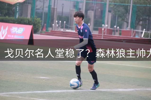 戈贝尔名人堂稳了？森林狼主帅力挺爱将 称其三度被严重低估
